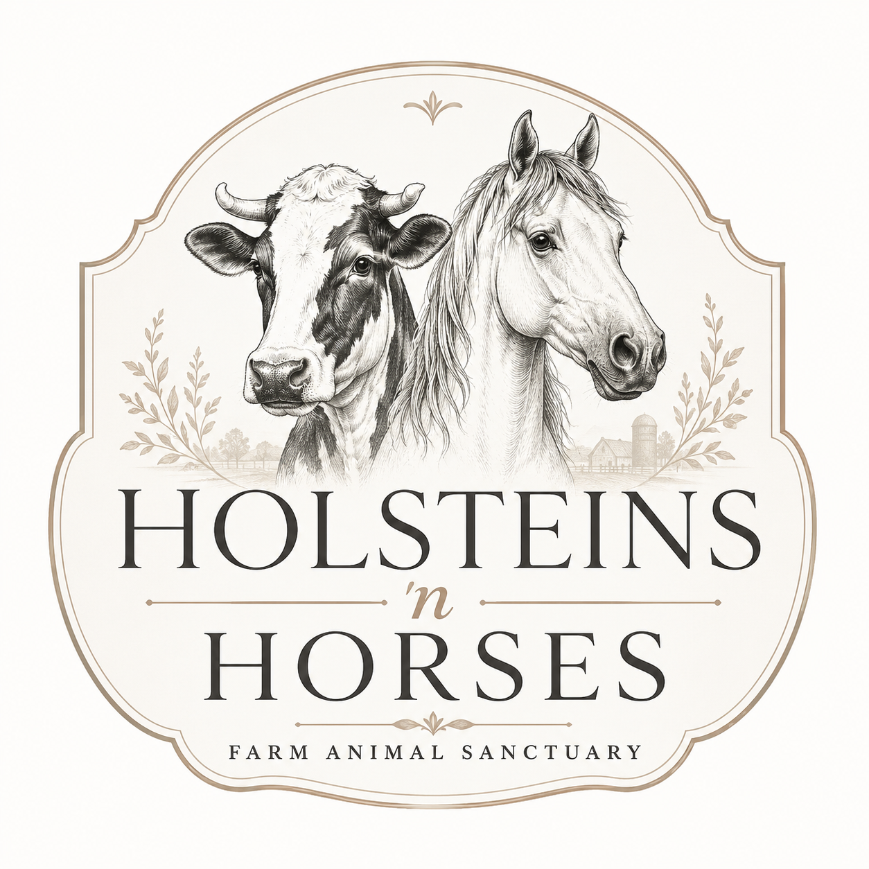 Our Holstein Herd